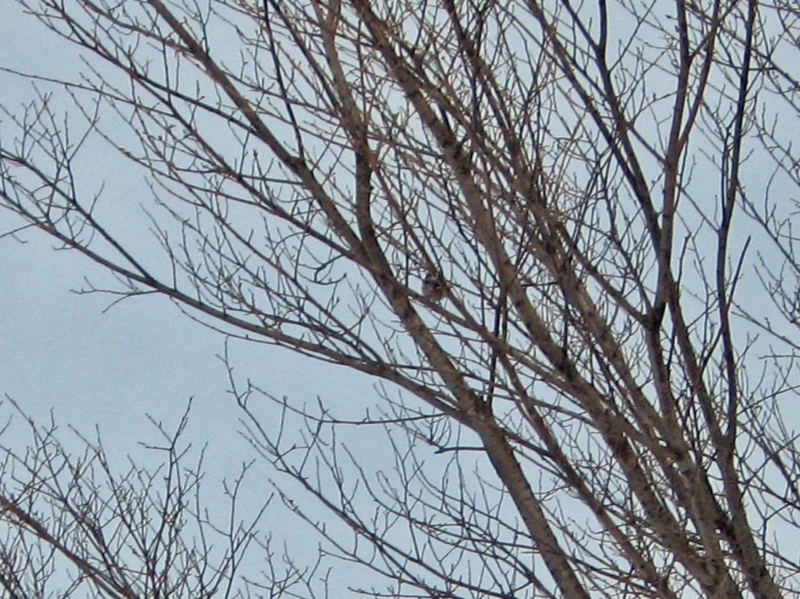 f:id:atarou:20130212084329j:image f:id:atarou:20130212084329j:image