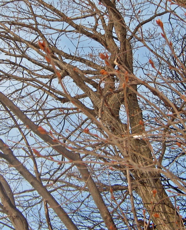 f:id:atarou:20130212085108j:image f:id:atarou:20130212085108j:image