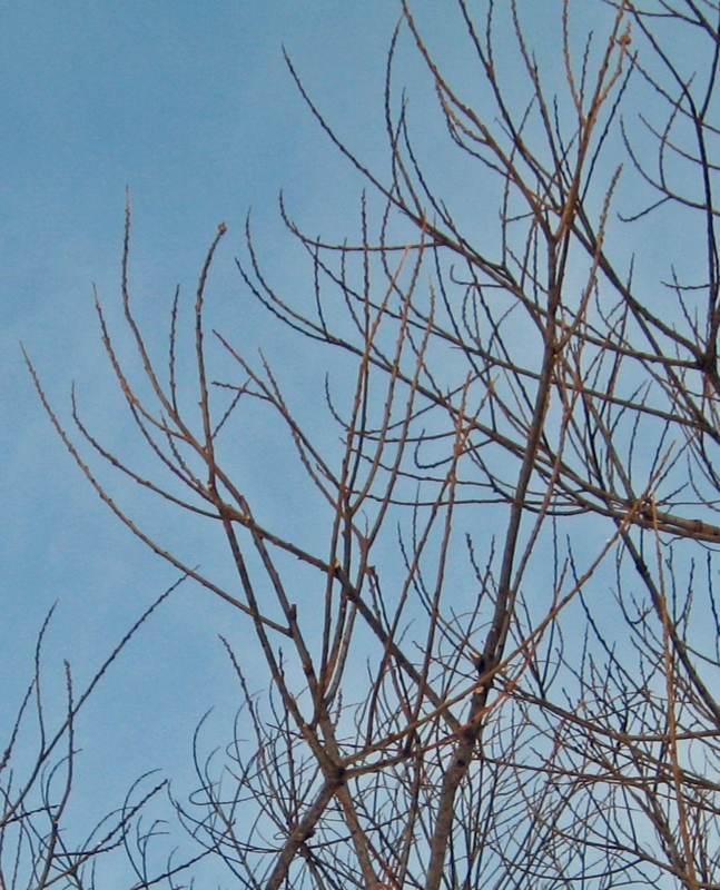 f:id:atarou:20130212085112j:image f:id:atarou:20130212085112j:image