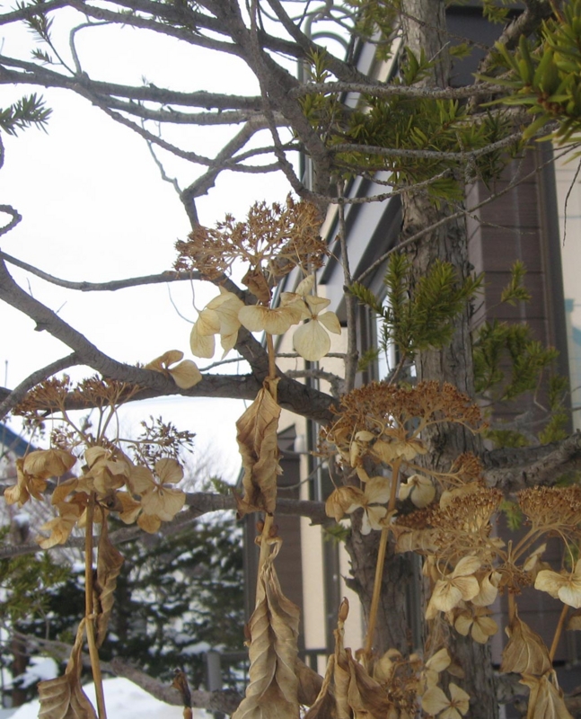 f:id:atarou:20130213065406j:image