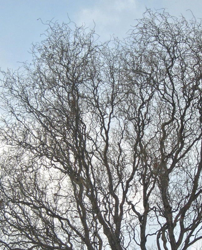 f:id:atarou:20130213070615j:image