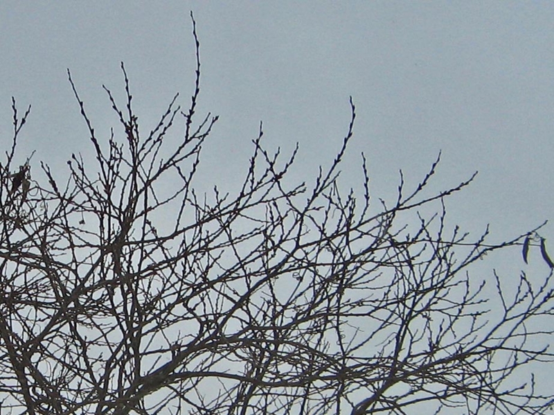 f:id:atarou:20130213071632j:image