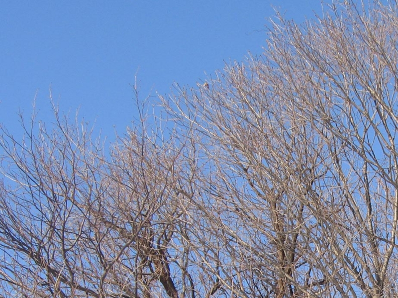 f:id:atarou:20130214084647j:image f:id:atarou:20130214084647j:image