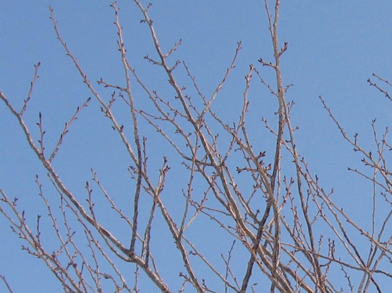 f:id:atarou:20130214084648j:image f:id:atarou:20130214084648j:image