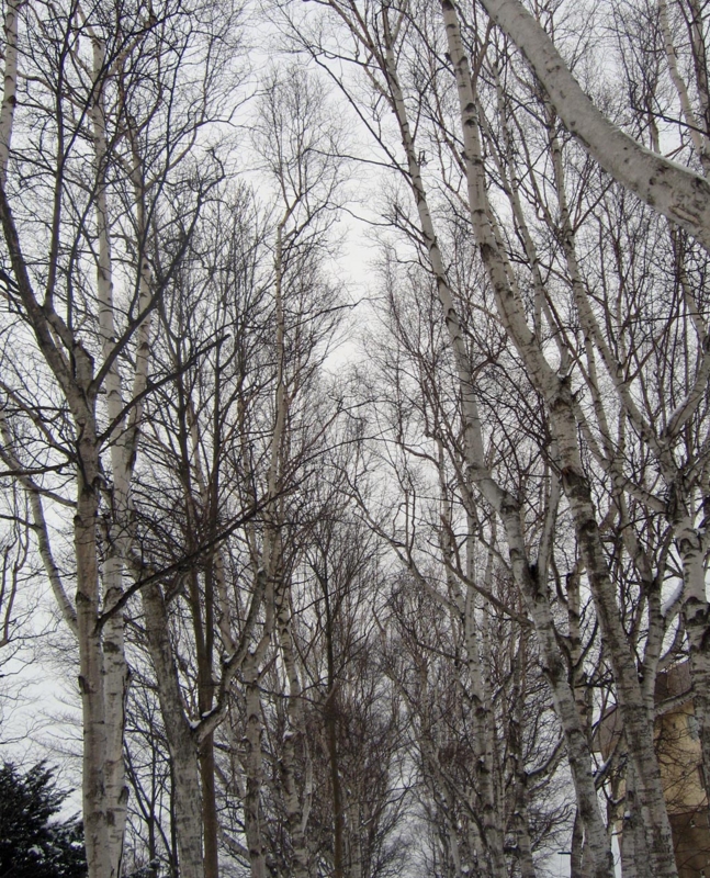 f:id:atarou:20130215065955j:image