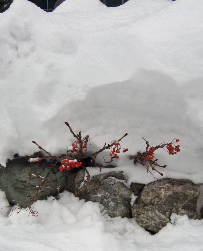 f:id:atarou:20130215070950j:image