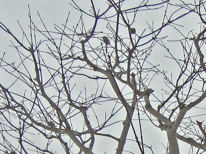 f:id:atarou:20130215084722j:image