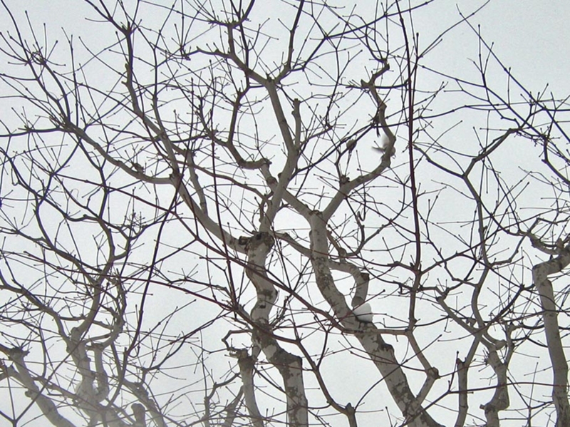 f:id:atarou:20130215084724j:image