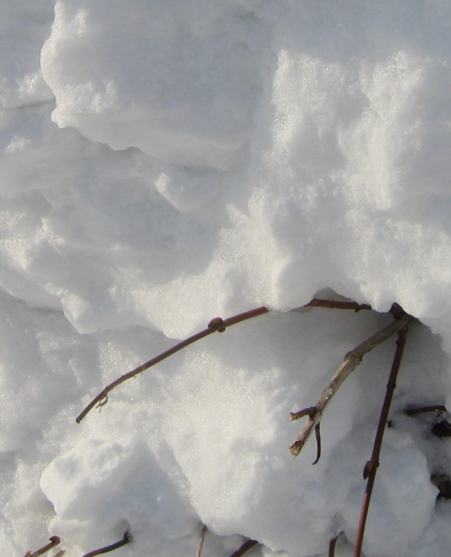 f:id:atarou:20130217085508j:image