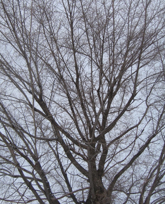 f:id:atarou:20130217091132j:image