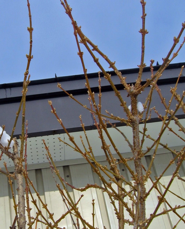 f:id:atarou:20130217091133j:image