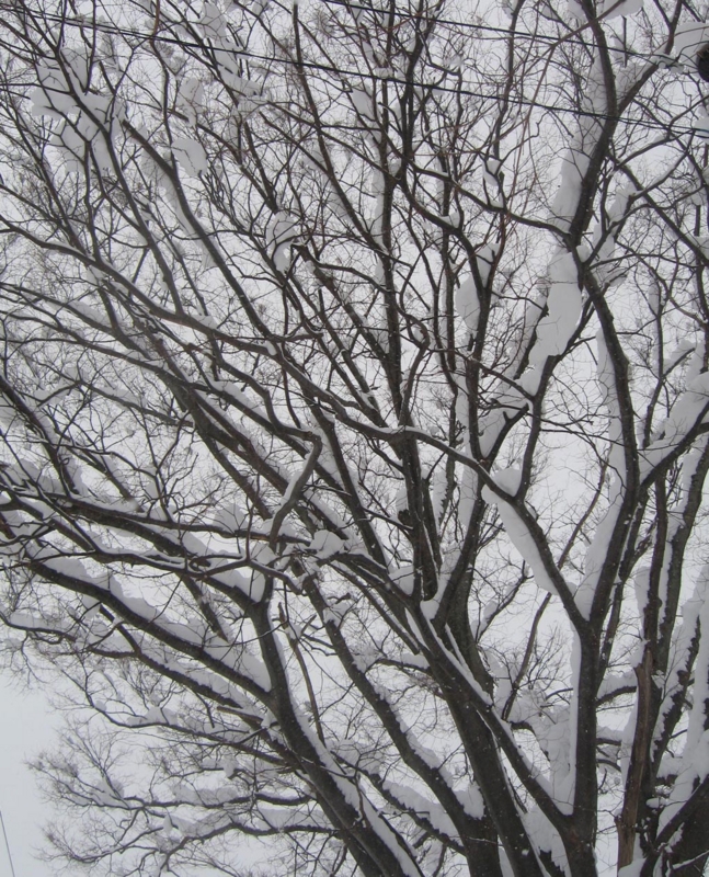 f:id:atarou:20130218063437j:image