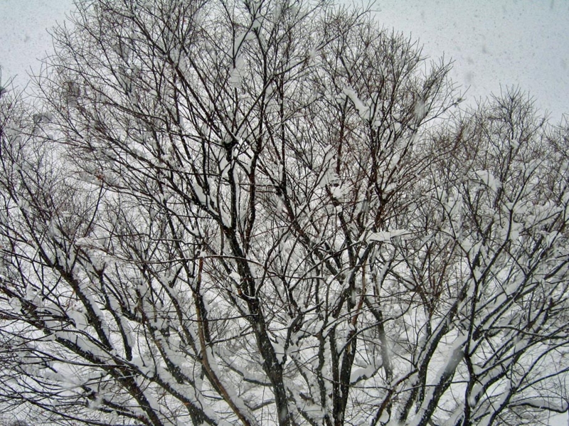 f:id:atarou:20130218065815j:image