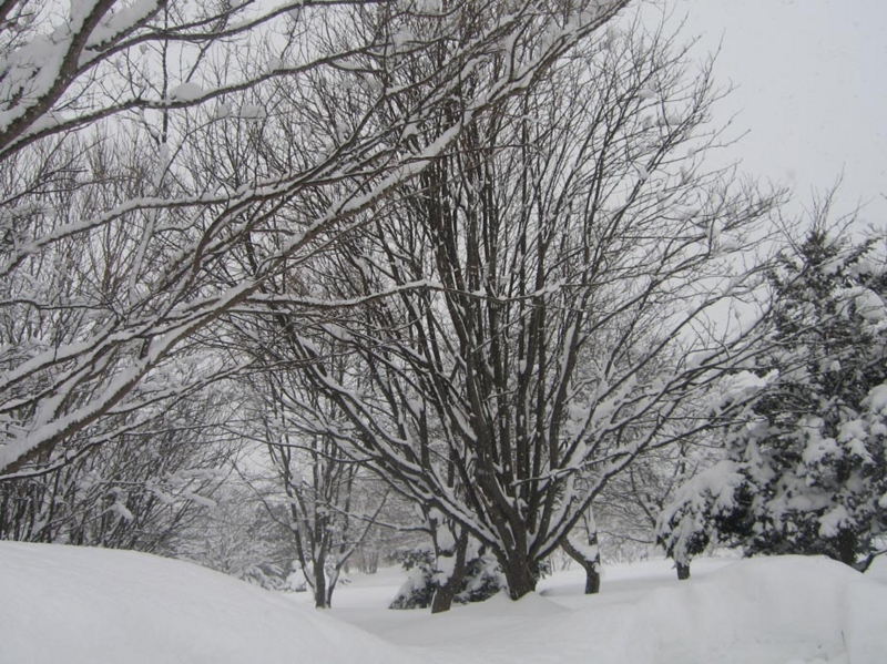 f:id:atarou:20130218065817j:image