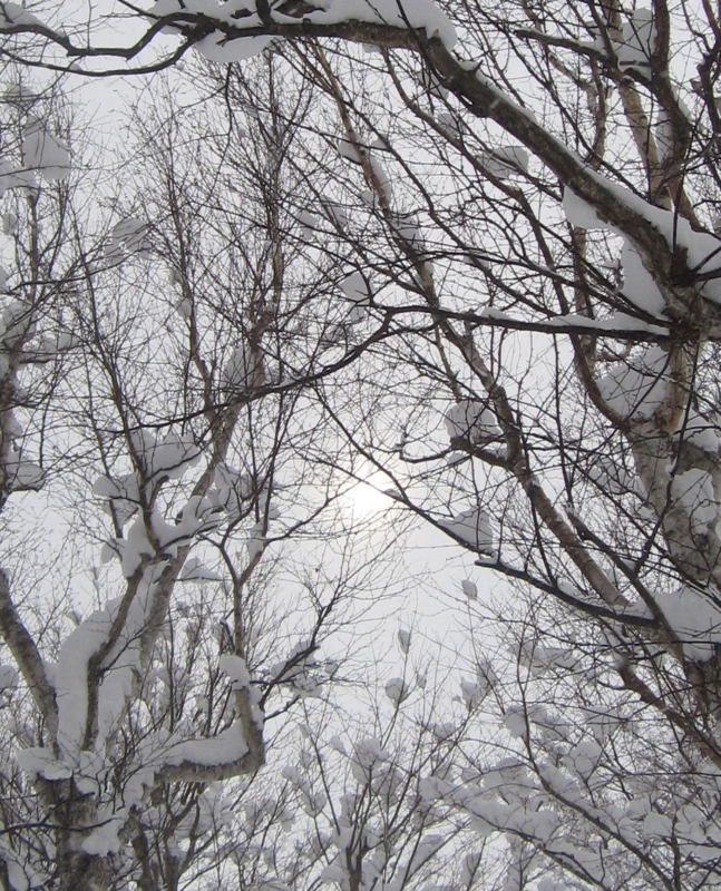 f:id:atarou:20130218070628j:image