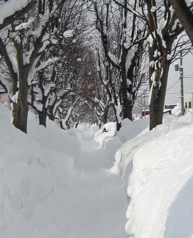 f:id:atarou:20130218070630j:image
