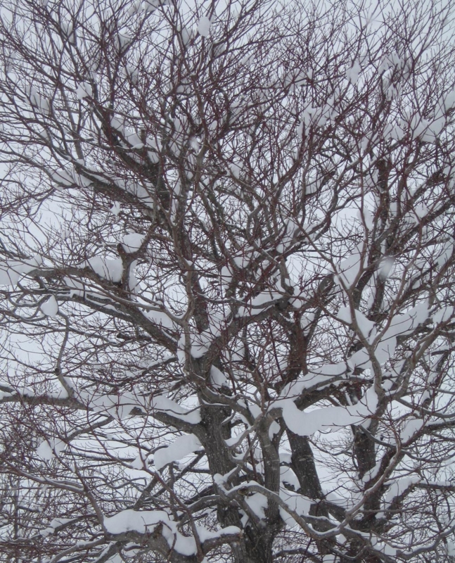 f:id:atarou:20130219063324j:image