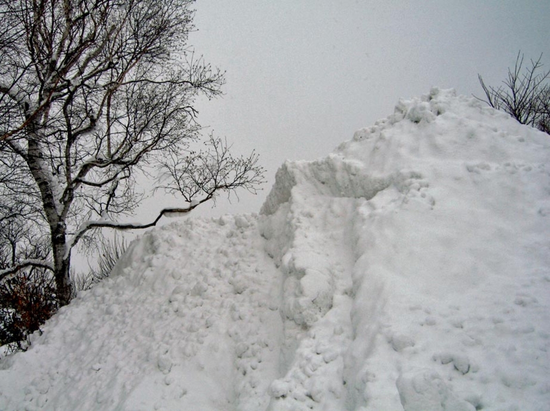 f:id:atarou:20130219085714j:image