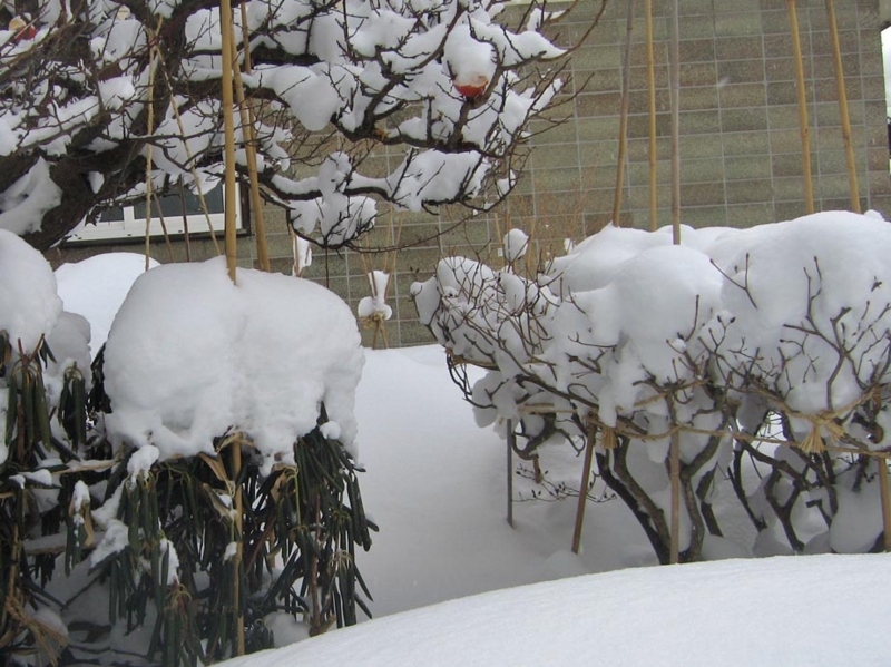 f:id:atarou:20130219090236j:image