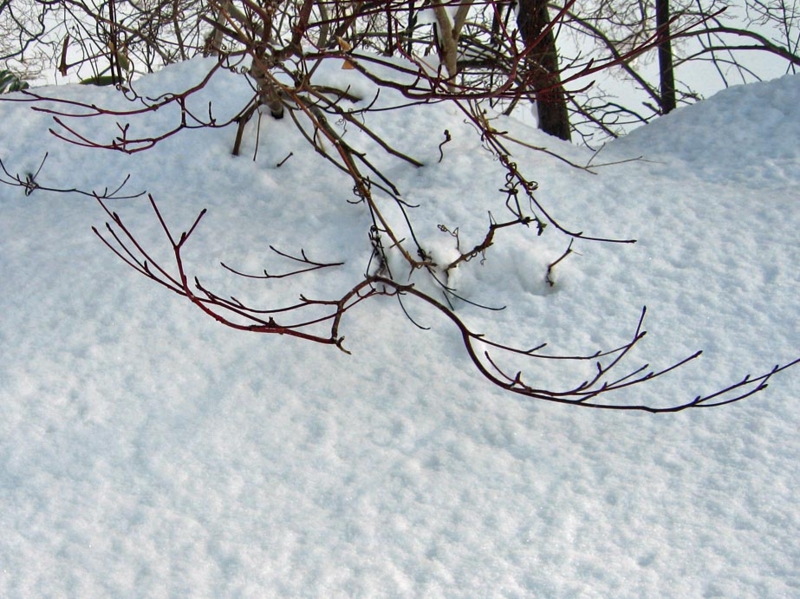 f:id:atarou:20130220071051j:image