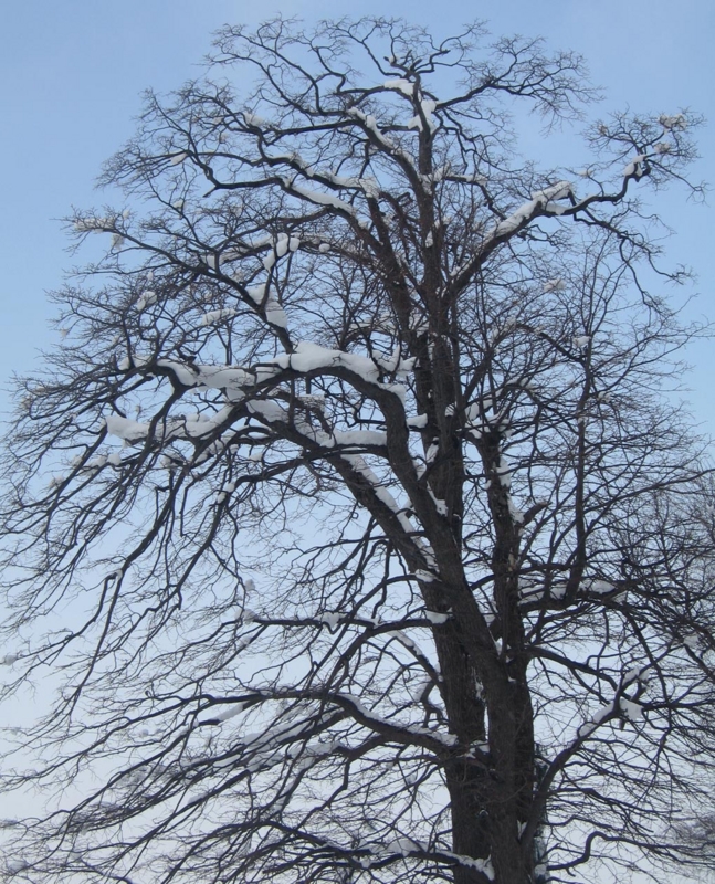 f:id:atarou:20130220071052j:image