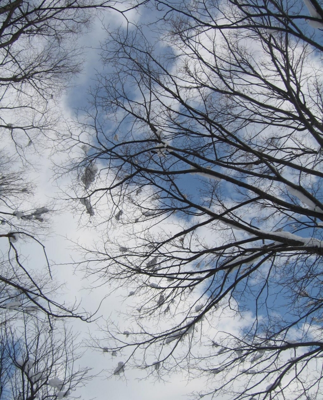 f:id:atarou:20130221085713j:image
