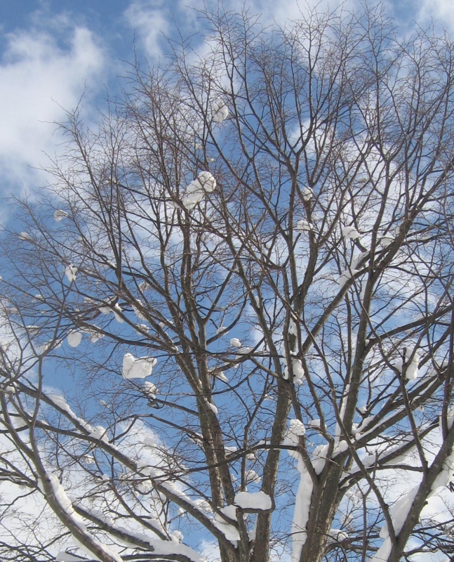 f:id:atarou:20130221085715j:image