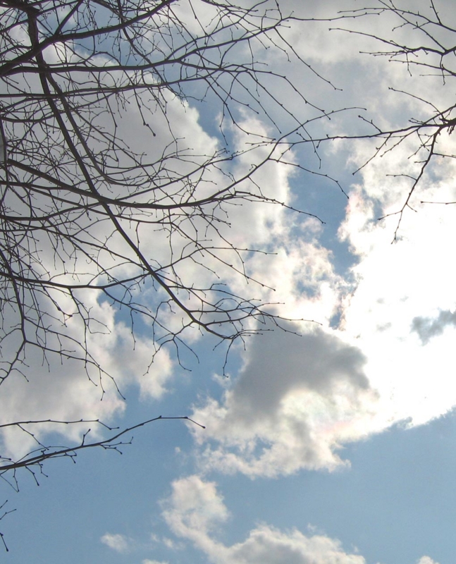 f:id:atarou:20130221090514j:image