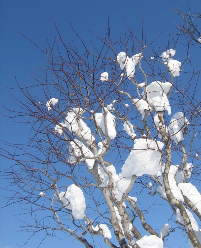 f:id:atarou:20130222063233j:image