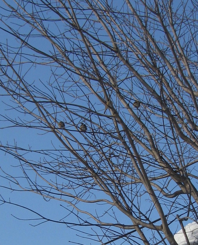 f:id:atarou:20130222070314j:image