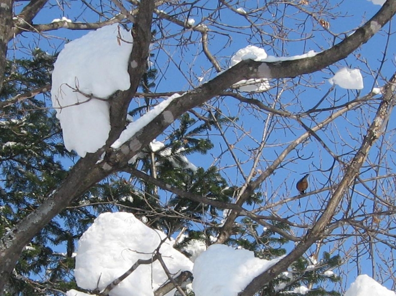 f:id:atarou:20130222070316j:image