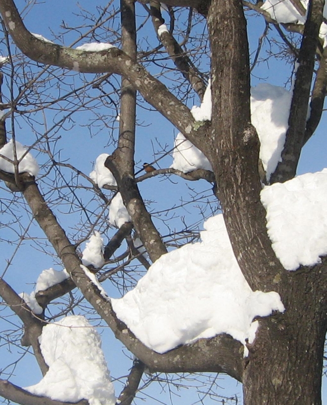 f:id:atarou:20130222070318j:image