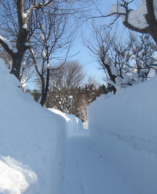 f:id:atarou:20130222070320j:image