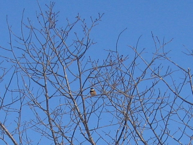 f:id:atarou:20130222071319j:image