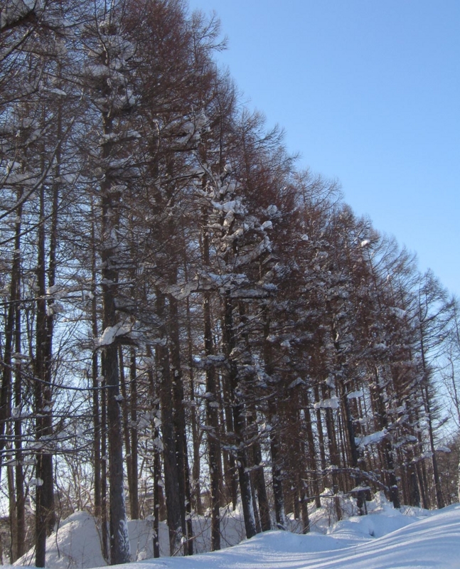 f:id:atarou:20130222071321j:image