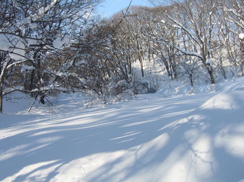 f:id:atarou:20130222071323j:image