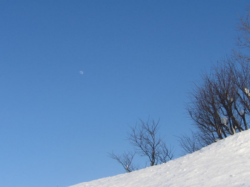 f:id:atarou:20130222072124j:image