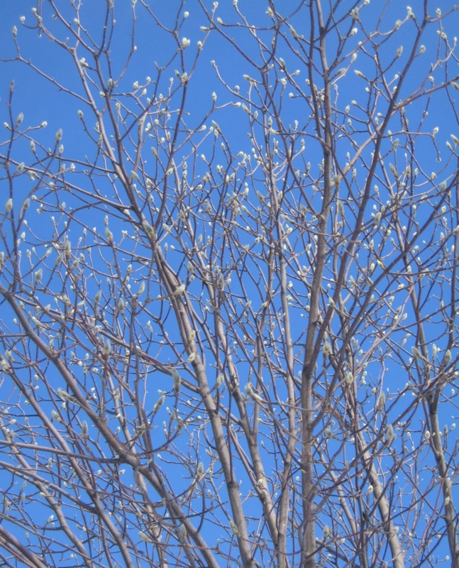 f:id:atarou:20130226063901j:image f:id:atarou:20130226063901j:image