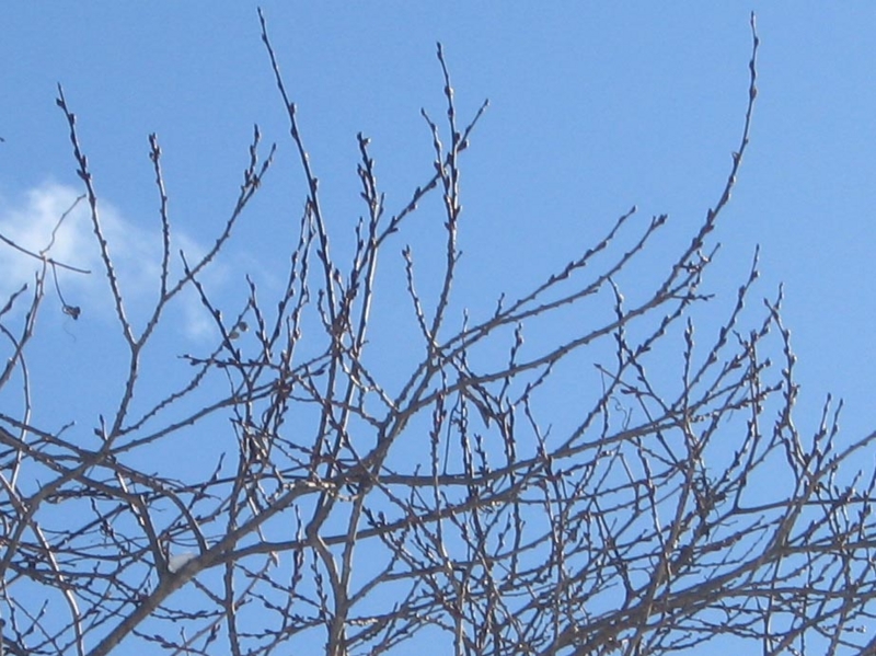 f:id:atarou:20130226090651j:image f:id:atarou:20130226090651j:image