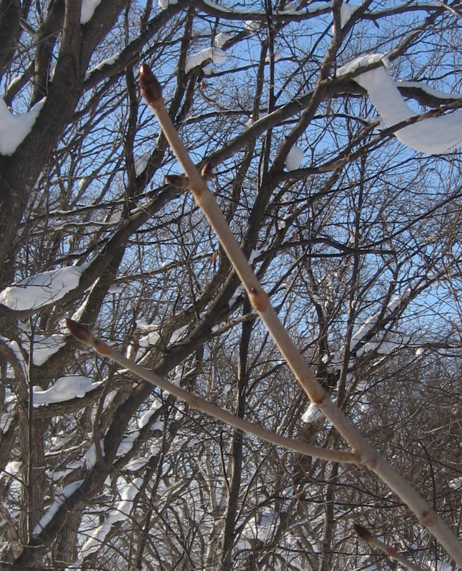 f:id:atarou:20130226090652j:image f:id:atarou:20130226090652j:image