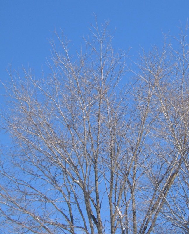 f:id:atarou:20130227055520j:image