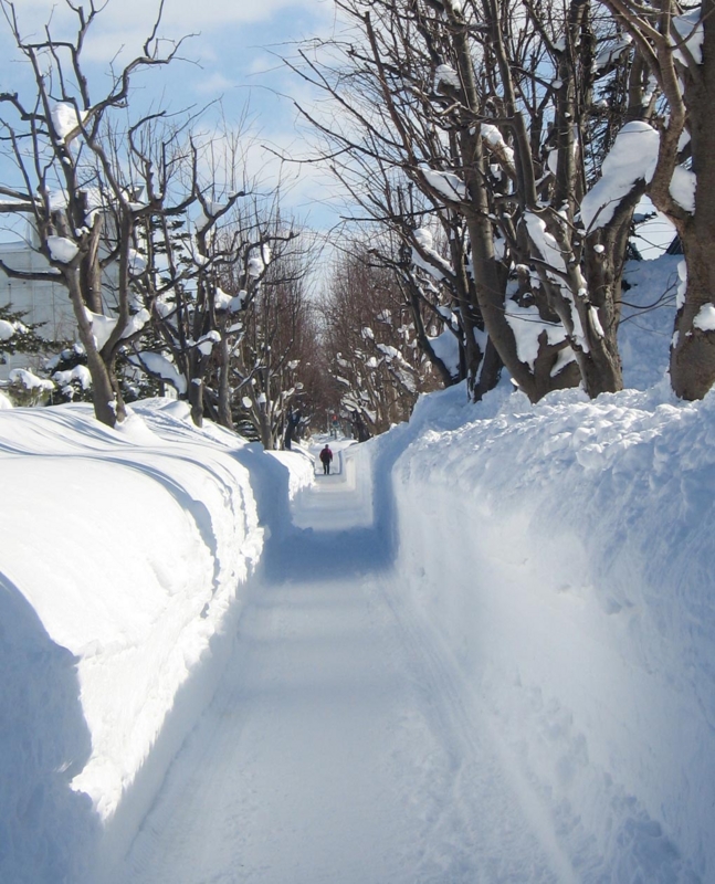 f:id:atarou:20130227061221j:image