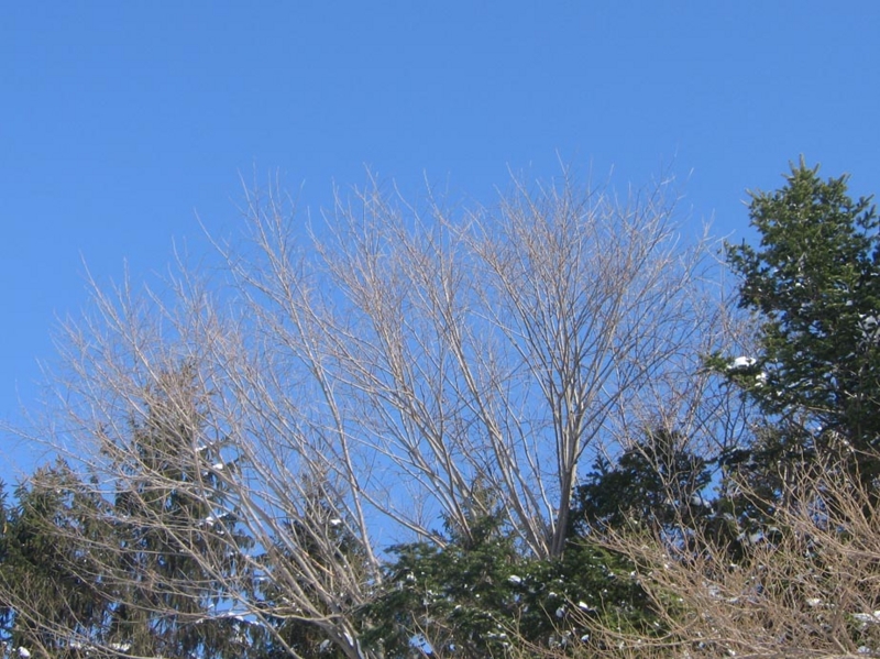 f:id:atarou:20130227061756j:image