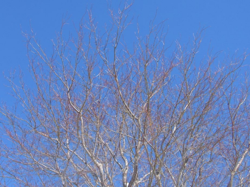 f:id:atarou:20130227064108j:image