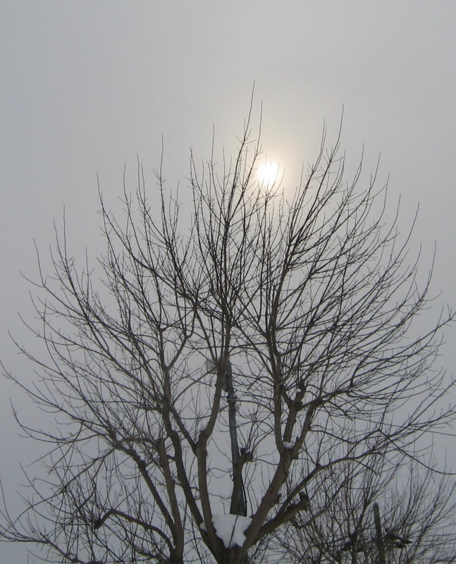 f:id:atarou:20130228064912j:image