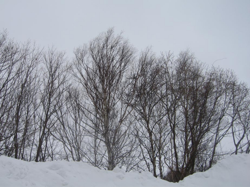 f:id:atarou:20130303072930j:image