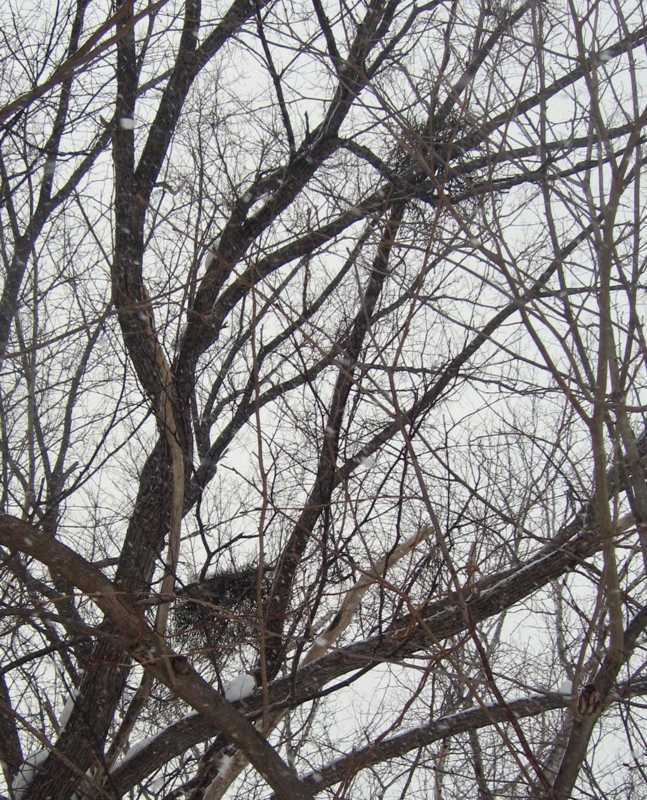 f:id:atarou:20130305084648j:image