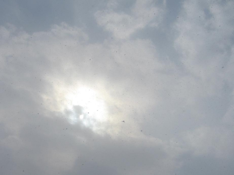 f:id:atarou:20130305090455j:image