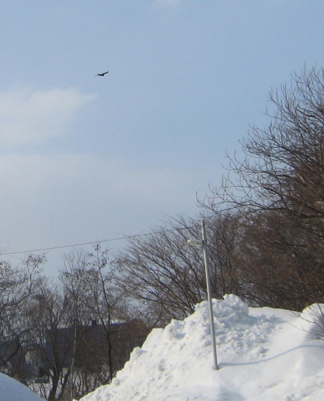 f:id:atarou:20130307064728j:image