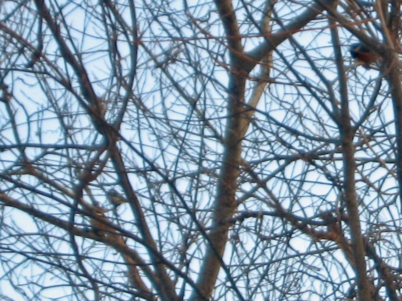 f:id:atarou:20130307064732j:image